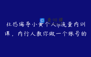 社恐编导小黄个人ip流量内训课，内行人教你做一个账号的
