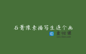 石膏像素描写生逐个画