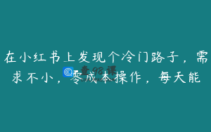 在小红书上发现个冷门路子，需求不小，零成本操作，每天能