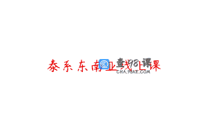 泰系东南亚线上课