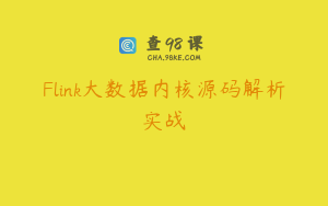 Flink大数据内核源码解析实战