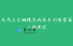无为王志蝴蝶实战体系训练营第二期课程