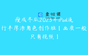瘦成冬瓜2023年iPad流行半厚涂角色创作班【画质一般只有视频】