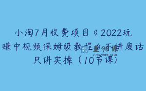 小淘7月收费项目《2022玩赚中视频保姆级教程》不讲废话 只讲实操（10节课)