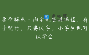 兽爷解惑·淘宝无货源课程，有手就行，只要认字，小学生也可以学会