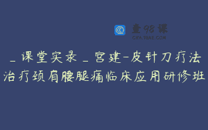 _课堂实录_宫建-皮针刀疗法治疗颈肩腰腿痛临床应用研修班