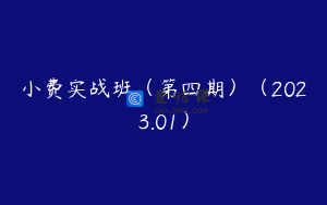 小费实战班(第四期)(2023.01)