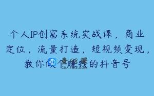个人IP创富系统实战课，商业定位，流量打造，短视频变现，教你做个赚钱的抖音号