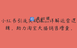 小红书引流实战课：详解运营逻辑，助力淘宝天猫销售增量，