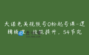 天诺老吴视频号0粉起号课-逻辑梳理，技能提升，54节完