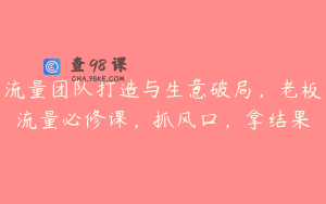流量团队打造与生意破局，老板流量必修课，抓风口，拿结果