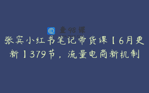 张宾小红书笔记带货课【6月更新】379节，流量电商新机制