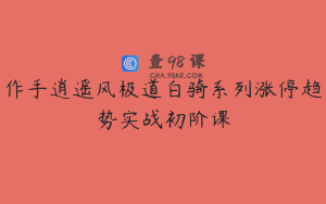作手逍遥风极道白骑系列涨停趋势实战初阶课