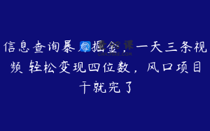 信息查询暴力掘金，一天三条视频 轻松变现四位数，风口项目干就完了