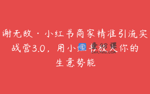 谢无敌·小红书商家精准引流实战营3.0，用小红书放大你的生意势能