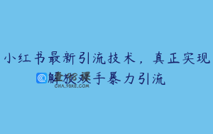 小红书最新引流技术，真正实现解放双手暴力引流