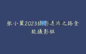 张小翼2023摄影进阶之路全能摄影班