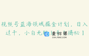 视频号蓝海领域掘金计划，日入过千，小白无脑上手【揭秘】