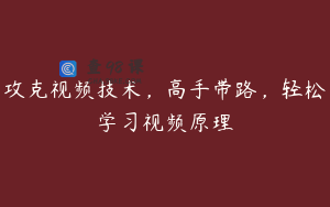攻克视频技术,高手带路,轻松学习视频原理