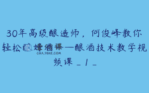 30年高级酿造师，何俊峰教你轻松酿好酒——酿酒技术教学视频课_1_