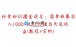 抖音知识撸金项目：简单粗暴日入1000+执行力强当天见收益(教程+资料)