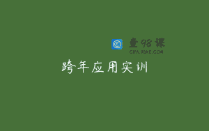 跨年应用实训