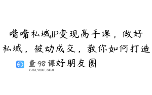 嘴嘴私域IP变现高手课，做好私域，被动成交，教你如何打造好朋友圈