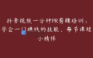 抖音视频一分钟PR剪辑培训：学会一门赚钱的技能，每节课短小精悍