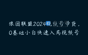 狼团联盟2024视频号带货，0基础小白快速入局视频号