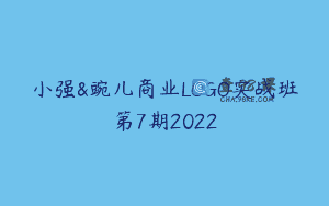 小强&豌儿商业LOGO实战班第7期2022