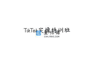 TikTok实操特训班