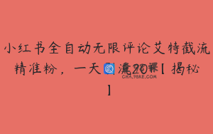 小红书全自动无限评论艾特截流精准粉，一天引流20+【揭秘】