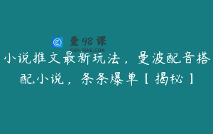 小说推文最新玩法，曼波配音搭配小说，条条爆单【揭秘】