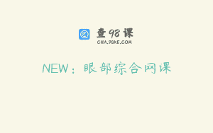 NEW：眼部综合网课