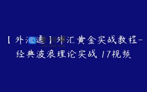 【外汇通】外汇黄金实战教程-经典波浪理论实战 17视频