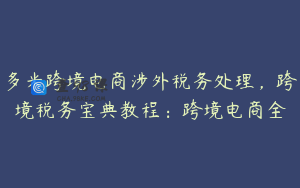 多米跨境电商涉外税务处理，跨境税务宝典教程：跨境电商全