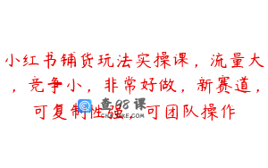 小红书铺货玩法实操课，流量大，竞争小，非常好做，新赛道，可复制性强，可团队操作