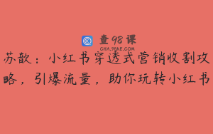 苏歆：小红书穿透式营销收割攻略，引爆流量，助你玩转小红书