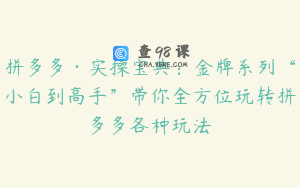 拼多多·实操宝典：金牌系列“小白到高手”带你全方位玩转拼多多各种玩法