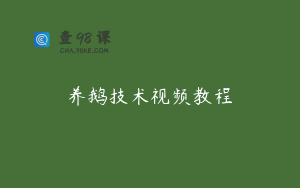 养鹅技术视频教程