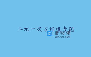 二元一次方程组专题