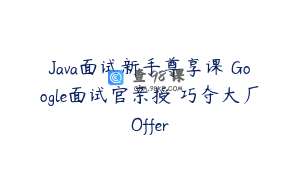 Java面试新手尊享课 Google面试官亲授 巧夺大厂Offer