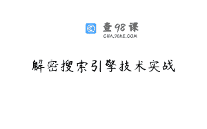 解密搜索引擎技术实战