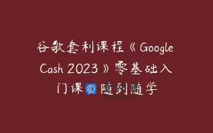 谷歌套利课程《Google Cash 2023》零基础入门课，随到随学