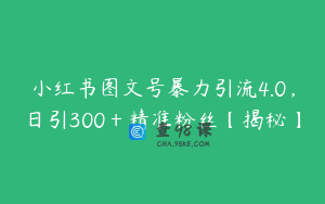小红书图文号暴力引流4.0，日引300＋精准粉丝【揭秘】