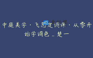 中庭美学·飞思定调课·从零开始学调色_楚一