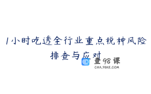 1小时吃透全行业重点税种风险排查与应对