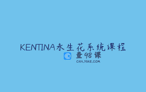 KENTINA永生花系统课程