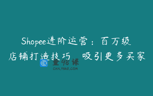Shopee进阶运营：百万级店铺打造技巧，吸引更多买家