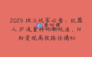 2025 独立玩家必看：机器人 IP 流量转化新玩法，N 粉变现高效路径揭秘
